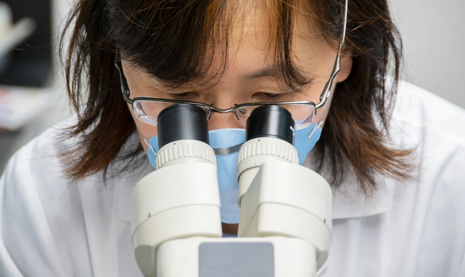 Biomedical Sciences Graduate Programs Banner