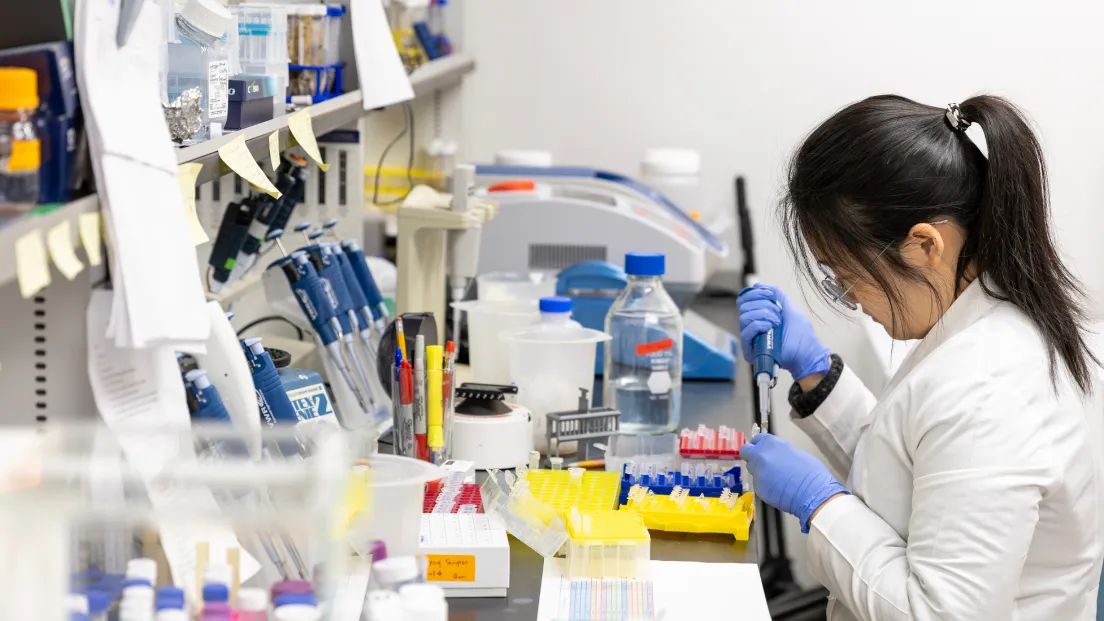Biomedical Sciences