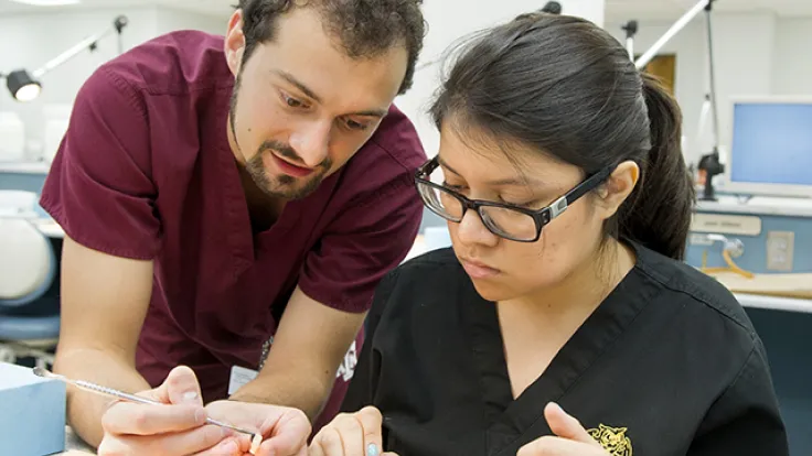 Two dental students work closely together on a hands-on exercise in a dental lab.
